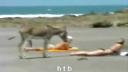 Cute polnische fickfilme petite Blondine saugt einen Schwanz Loch!